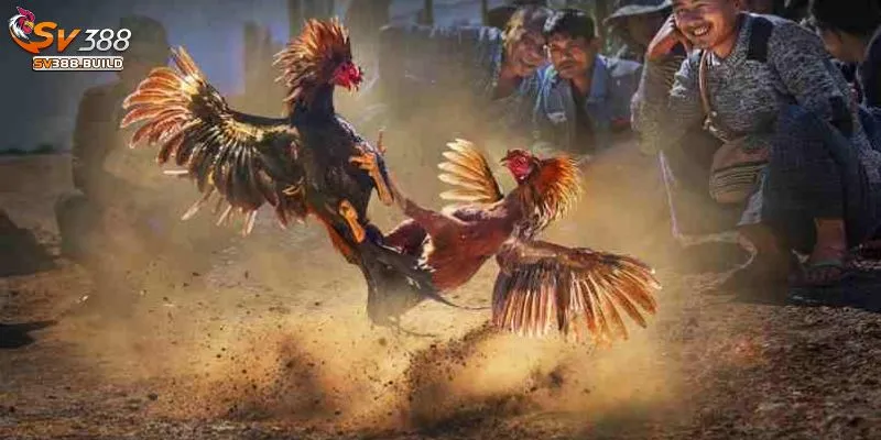 Kèo cược hấp dẫn, đa dạng